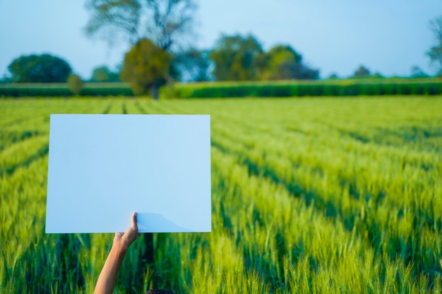 Carton vide dans la main de l'agriculteur, fond agricole