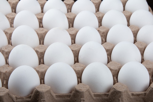 Cartouche aux œufs de poule blancs.