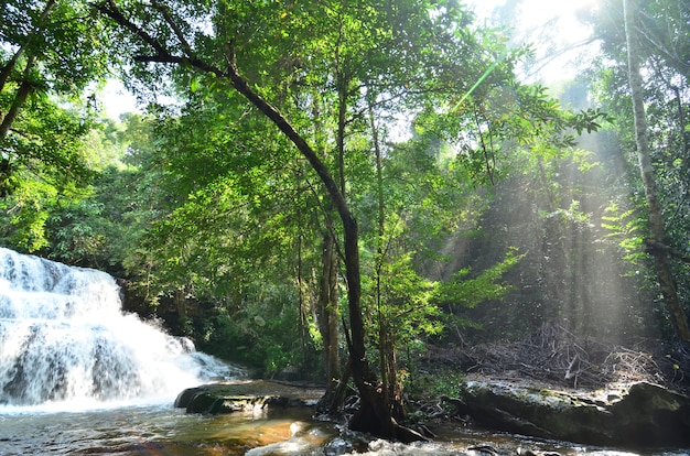 la cascade en Asie