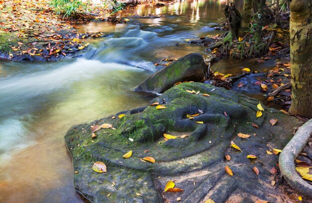 Cascade au Cambodge