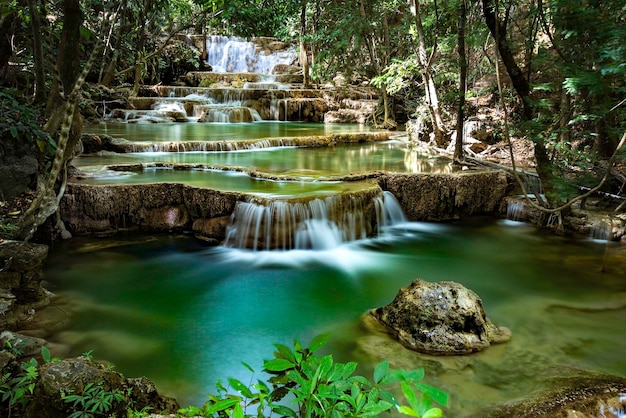 Une cascade au milieu des arbres de la forêt tropicale