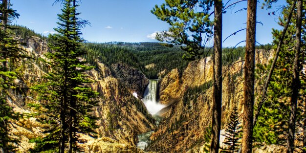 une cascade au milieu d'une forêt avec des arbres en arrière-plan