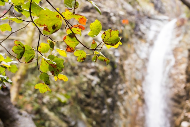 Cascade d'automne avec des roches et des feuilles dans les montagnes Troodos à Chypre