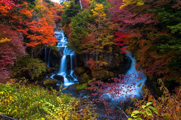 Cascade d'automne