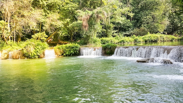 La cascade de beauté coule des montagnes