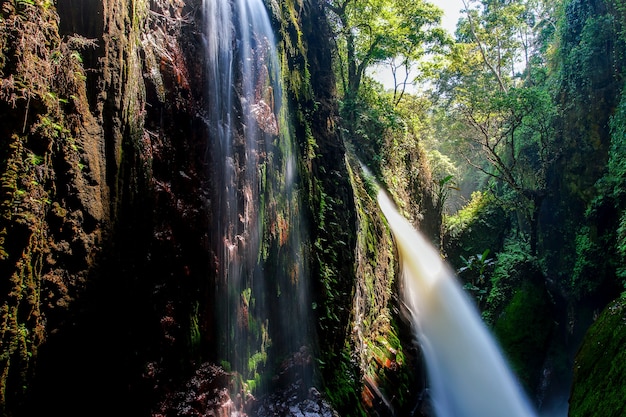Cascade de Blawan autour du cratère Kawa Ijen, belle cascade cachée dans la jungle tropicale