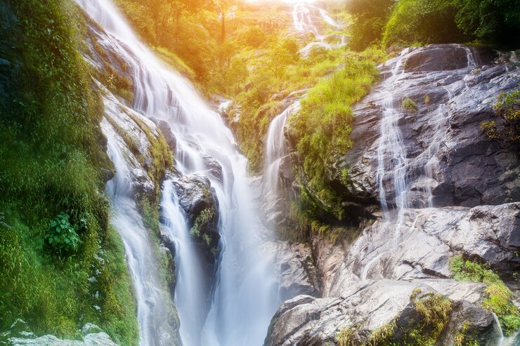 Photo cascade cachée dans la jungle tropicale