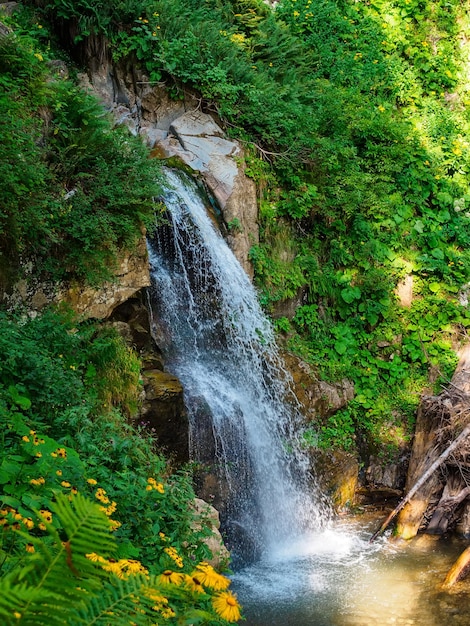 Cascade de Chara sur le versant sud du pic Rosa à Sotchi en été