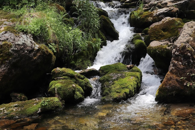 Cascade coulant à travers les rochers moussus