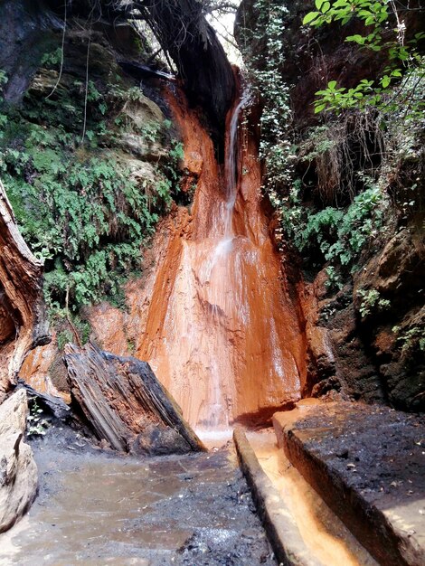 Photo cascade dans la forêt de l'alpujarra granadina