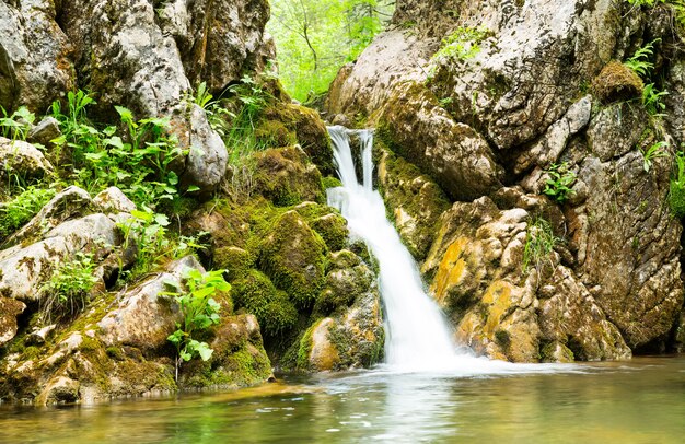 Cascade dans la forêt du Monténégro