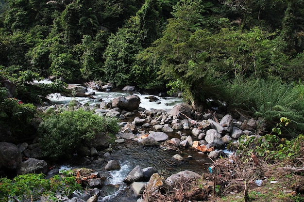 La cascade dans la forêt d'Indonésie