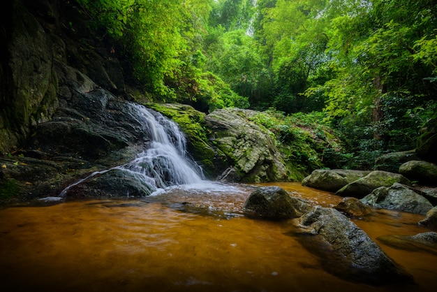 Photo la cascade dans la forêt avec une lumière douce