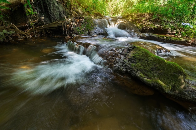 La cascade dans la forêt avec la lumière du jour