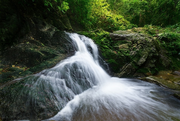 La cascade dans la forêt avec la lumière du soleil