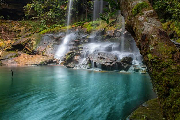 Cascade, dans, forêt, à, phu kradueng parc national, dans, loei, province, asie sud-est