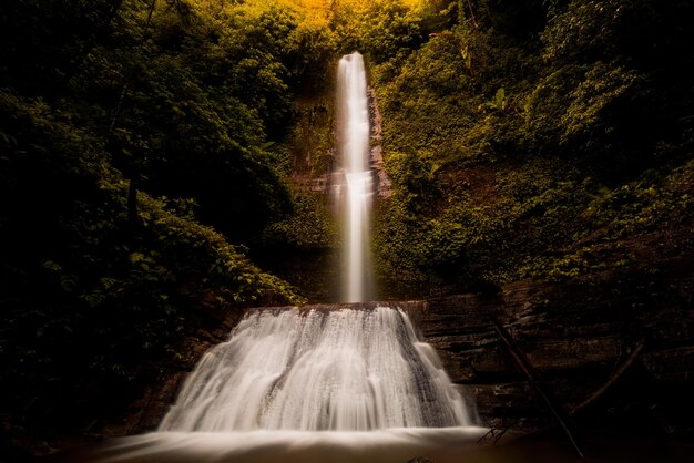 Une cascade dans la forêt avec le soleil qui brille dessus