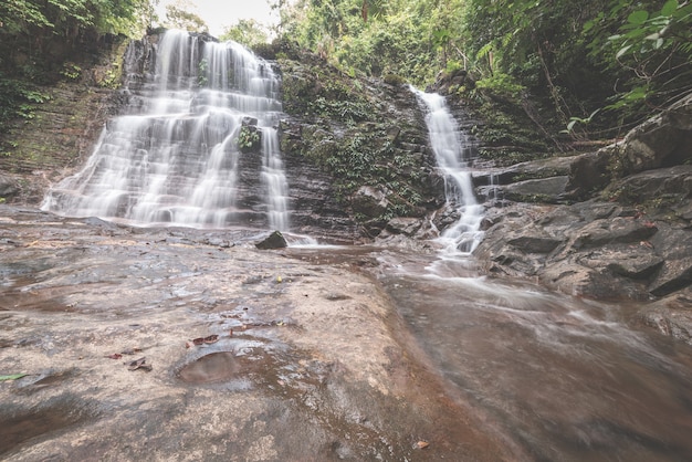cascade dans la forêt tropicale du parc national de Kubah, Sarawak occidental, Bornéo, Malaisie