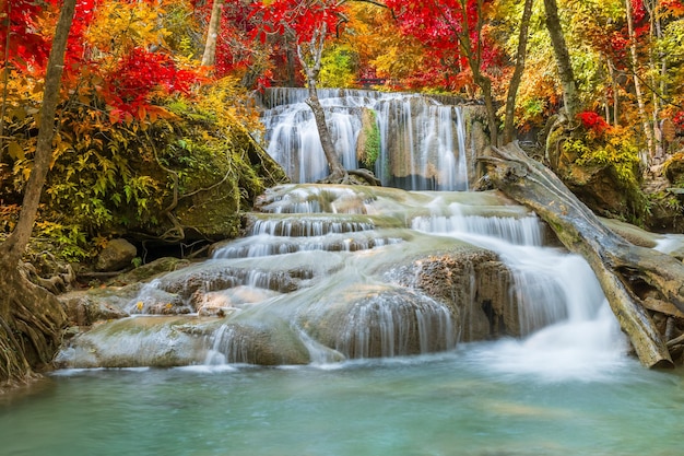 Cascade dans la forêt