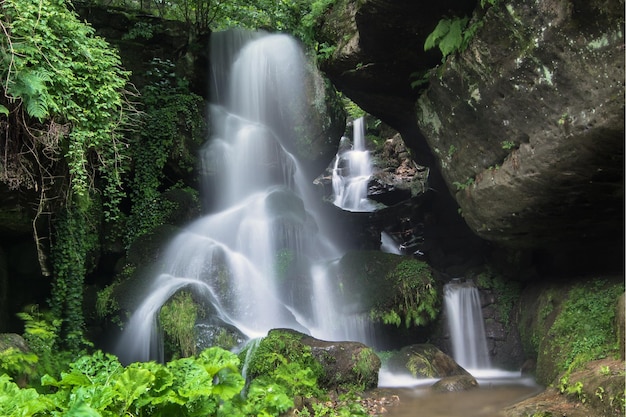 Cascade dans la forêt