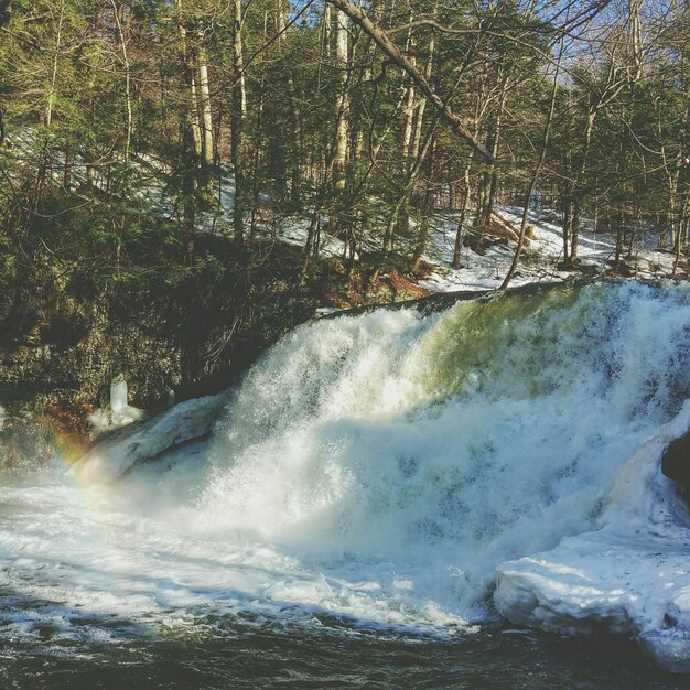 Photo cascade dans la forêt