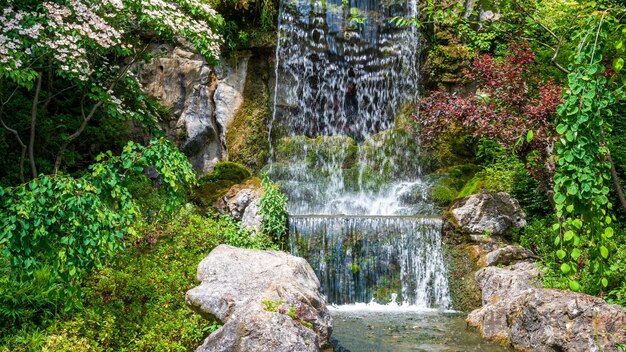 cascade dans la forêt