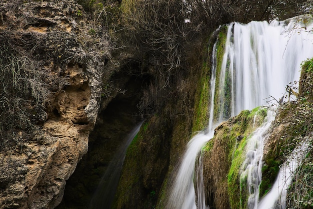 cascade dans la forêt