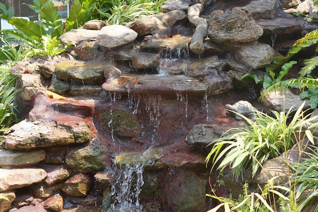 Cascade dans le jardin avec de l'eau qui coule