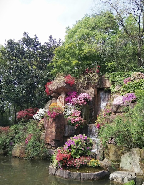 Une cascade dans un jardin avec des fleurs sur les rochers