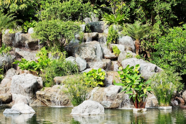 Cascade dans jardin