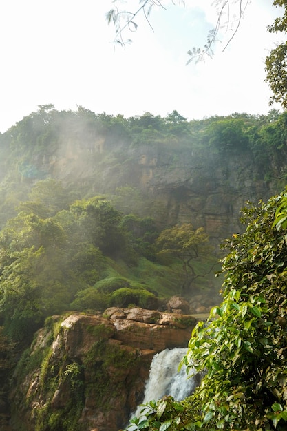 Une cascade dans la jungle avec des arbres et de la verdure