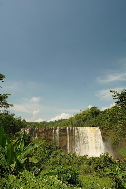 Une cascade dans la jungle avec un ciel bleu en arrière-plan