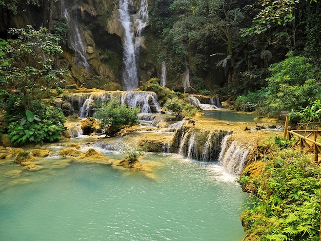 La cascade dans la jungle Laos