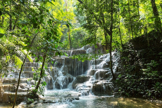 Cascade dans la jungle, Mexique