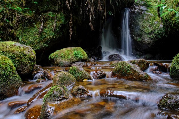 Photo cascade dans la jungle