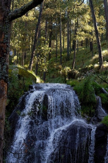 Une cascade dans la montagne Iztaccihuatl, Mexique