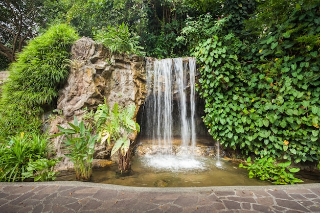 Cascade dans parc