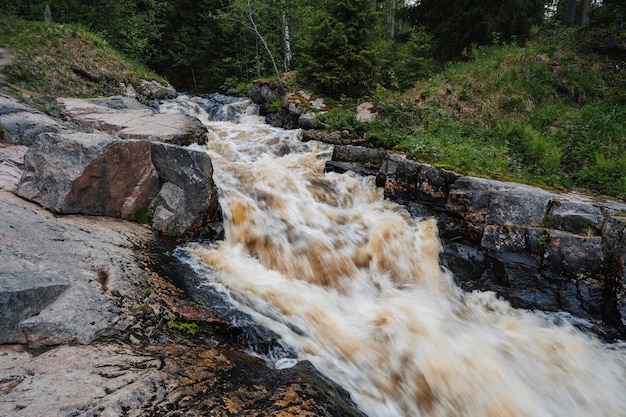 Cascade dans la rivière avec des pierres dans la forêt en été