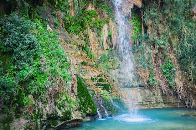Cascade de David dans la réserve naturelle d'Ein Gedi
