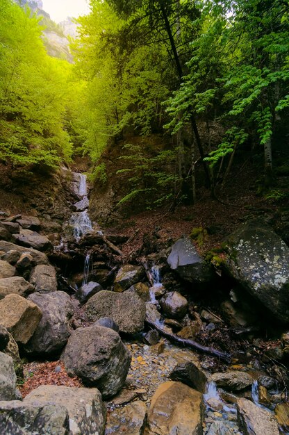 La cascade du ruisseau