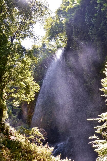 Cascade à éclaboussure d'eau