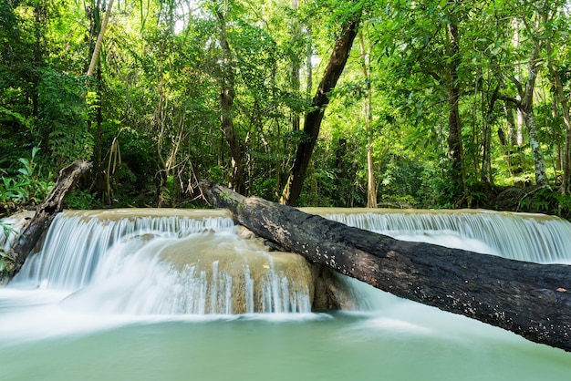 Cascade d'Erawan à Kanchanaburi, Thaïlande, belle cascade avec fond de forêt