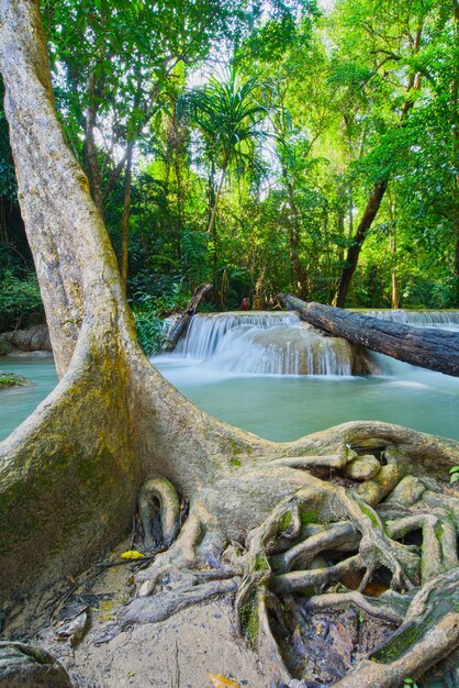 Cascade d&#39;Erawan à Kanchanaburi