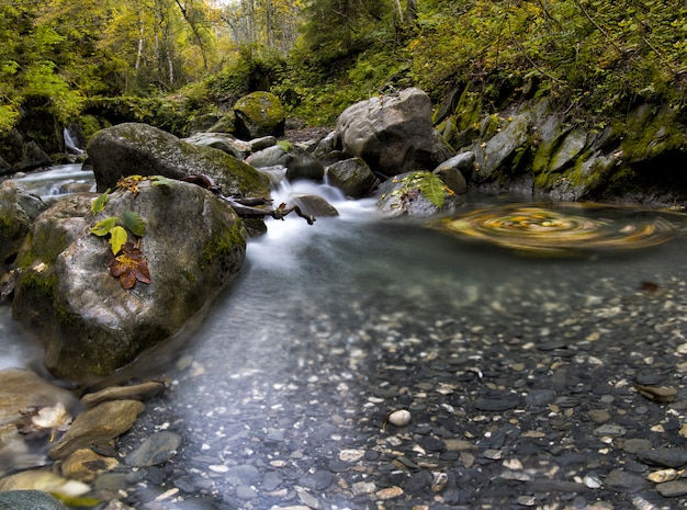 Photo cascade avec des feuilles sur les rochers sur le pré avec de l'eau qui coule