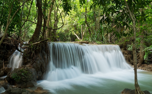 cascade, fond de forêt, paysage