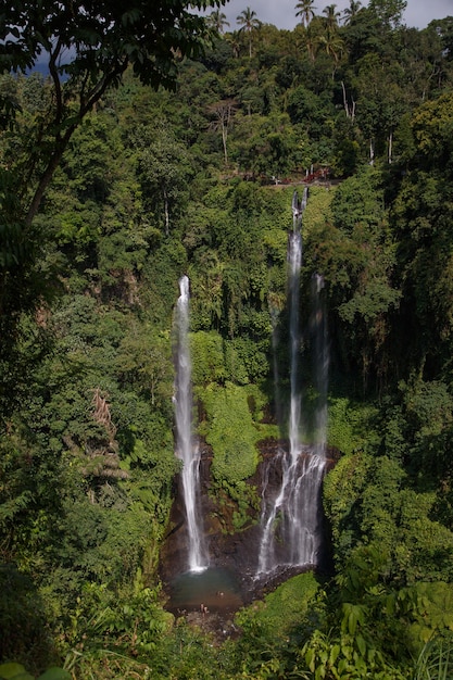 Cascade en forêt à Bali