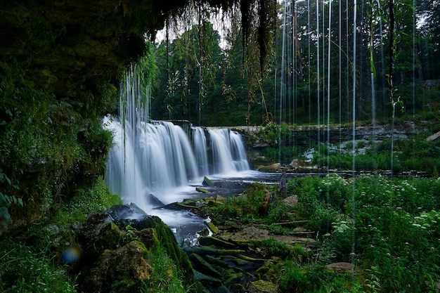 Cascade de la forêt sur la rivière Keila