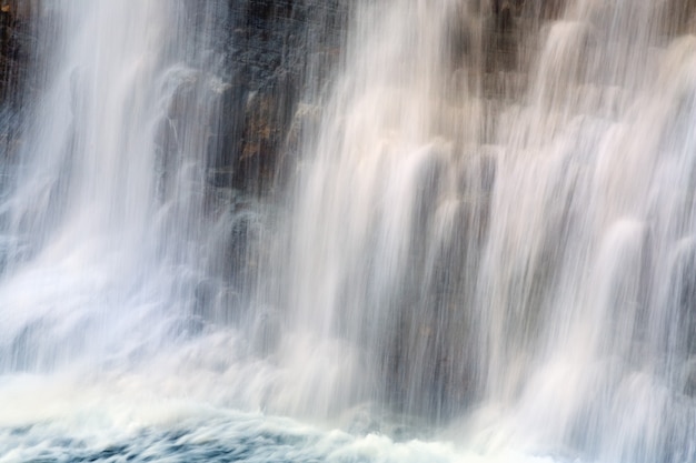 Cascade de haute montagne dans la forêt sombre des Carpates sauvages (prise de vue longue exposition)