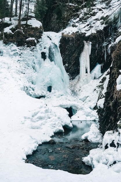 Cascade d'hiver avec de l'eau gelée et de la neige