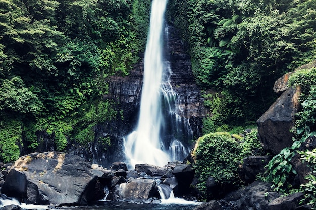 Cascade en Indonésie